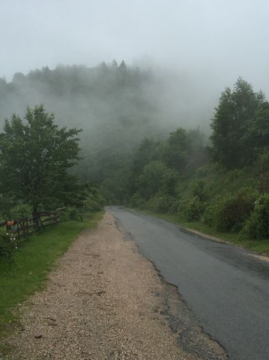 image - Natura-marisel-belis