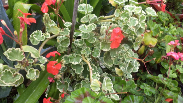 DSC05643