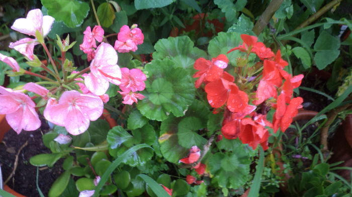 DSC05648