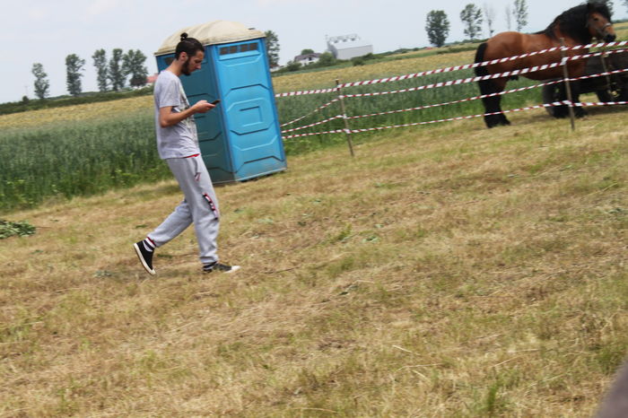 IMG_9044 - EXPO CAI RUSENI 2016 SATU MARE