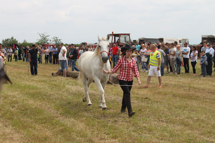 IMG_9053 - EXPO CAI RUSENI 2016 SATU MARE