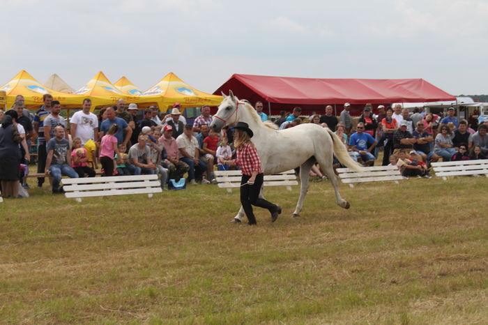 IMG_9058 - EXPO CAI RUSENI 2016 SATU MARE