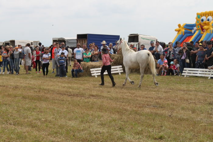 IMG_9060 - EXPO CAI RUSENI 2016 SATU MARE
