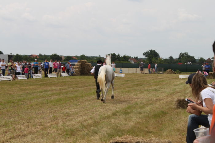 IMG_9065 - EXPO CAI RUSENI 2016 SATU MARE