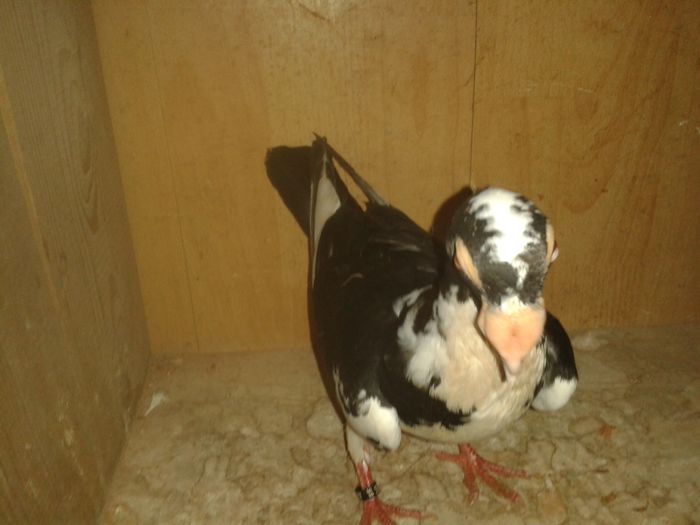 20160613_090646 - pui 2016