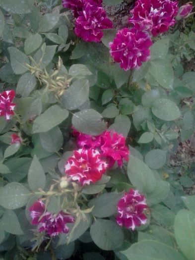 20160610_202634