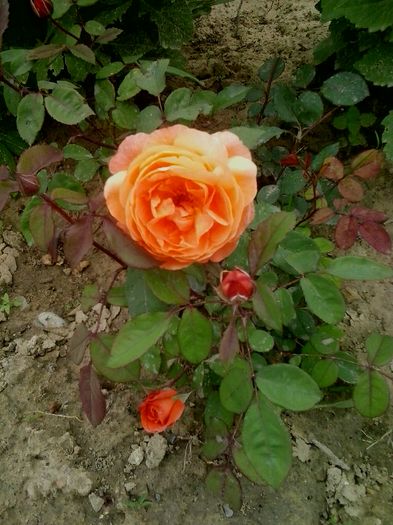 20160612_124102