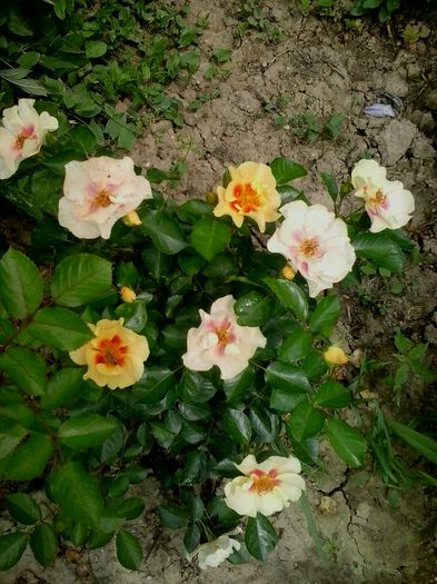 20160612_140649
