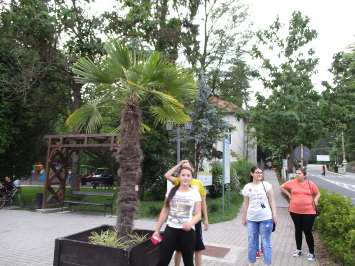 IMG_3614 - 2016 - Excursie -iunie