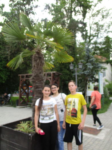 IMG_3615 - 2016 - Excursie -iunie