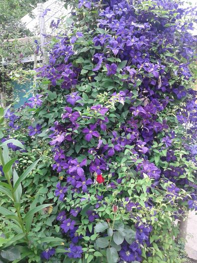 20160612_172103
