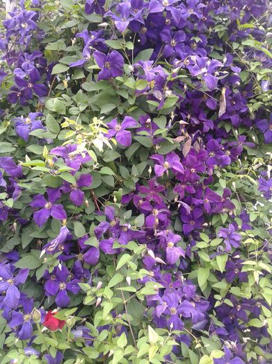 20160612_172132