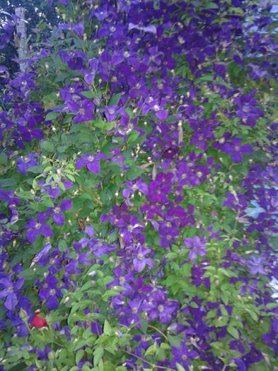 20160612_211354