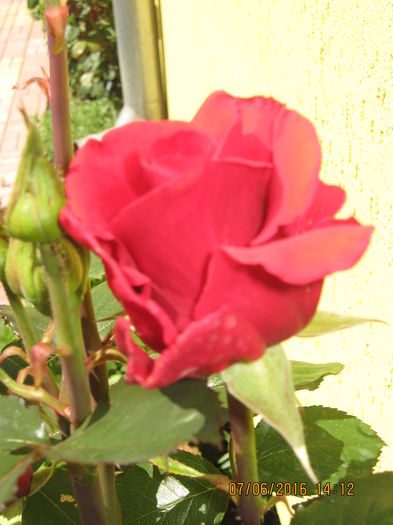 Picture 6272