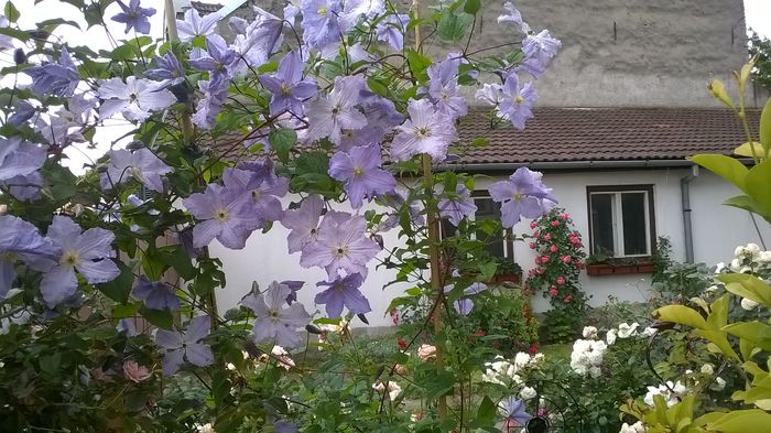 WP_20160612_090