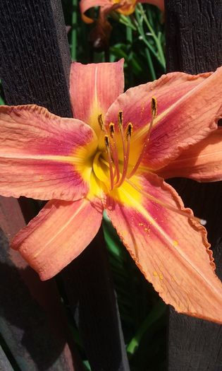 028