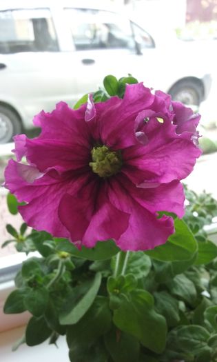 052