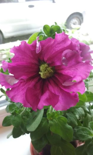 053