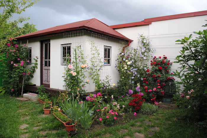 iunie - 2016 gradina mea