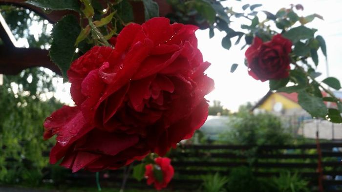 13412872_10206334993357870_7716469488740170046_n