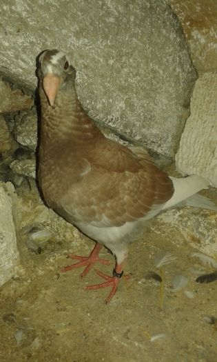 20160615_074544