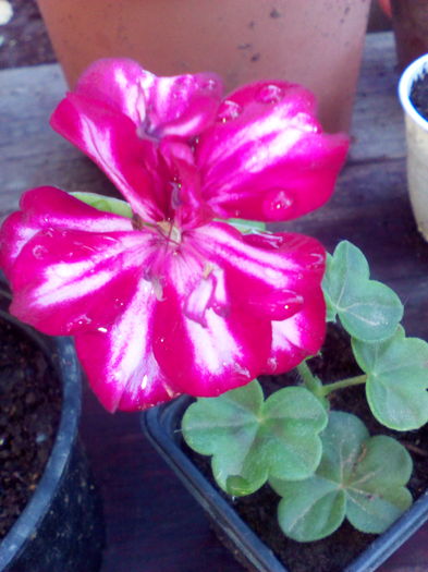 1465970160944-1451532407