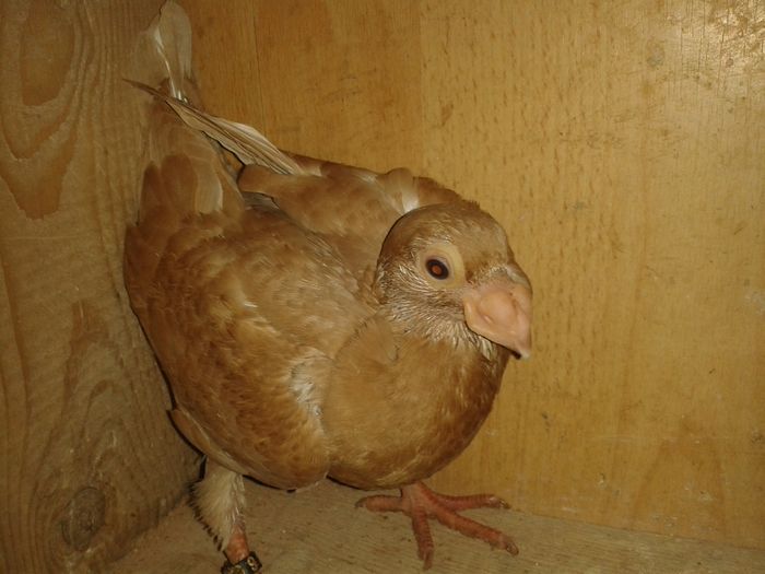 20160615_100022 - pui 2016