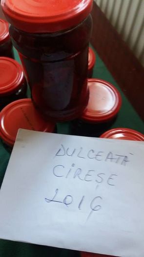 13444069_1027631777312437_127431475_n - Dulceata de Cirese de Casa 2020