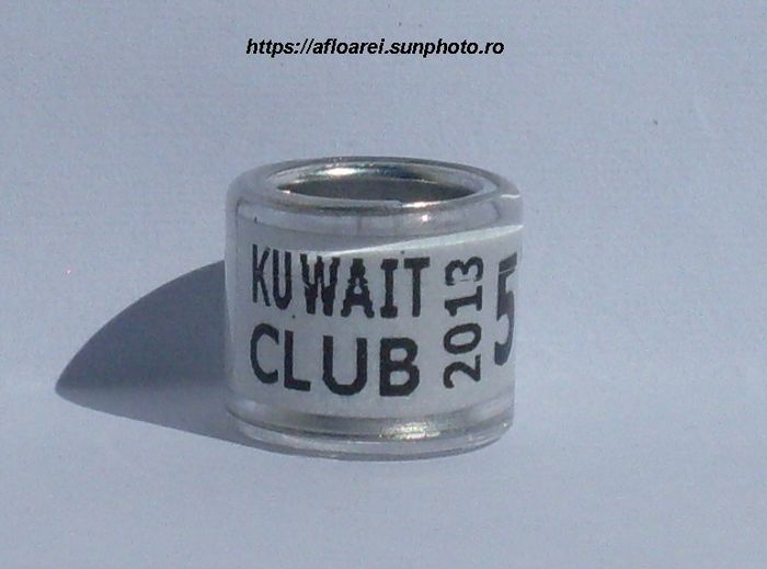 kuwait club 2013 - KUWEIT