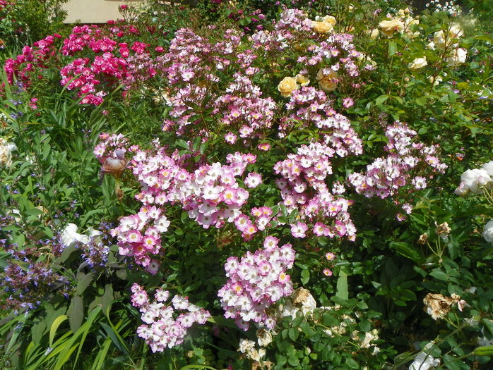 Ballerina, Teasing Georgia, Angela