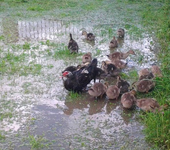 2016-06-15 16.32.40 (2)