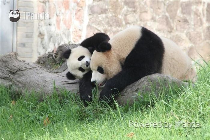 13407330_1016966601720835_1627810801852604446_n