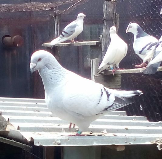 IMG_20160423_145036_967