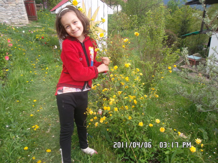  - Gradina 2016