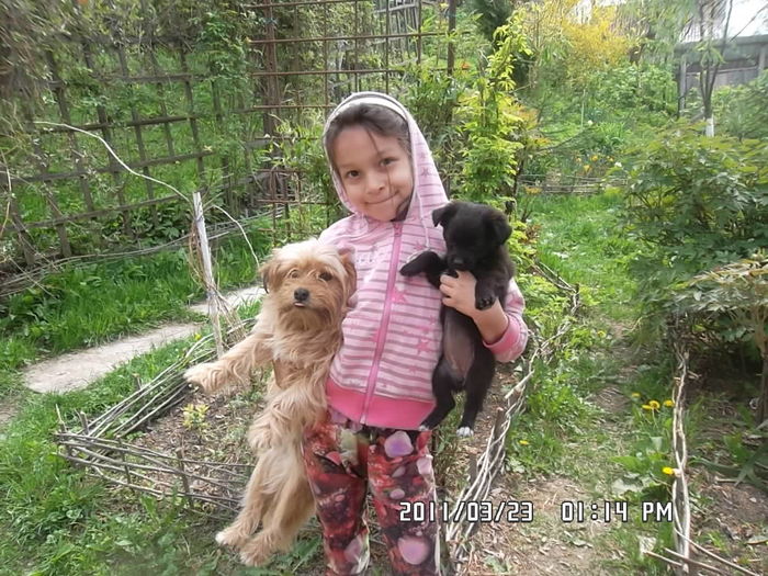  - Gradina 2016