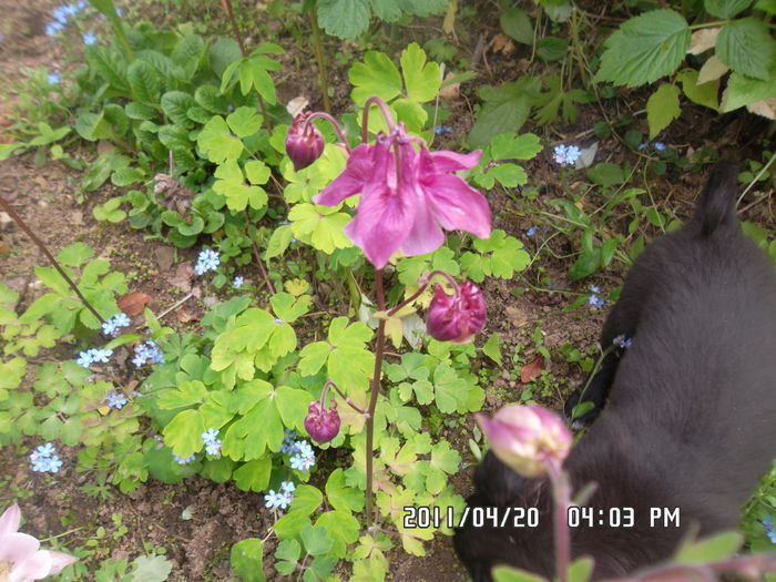 SAM_0333
