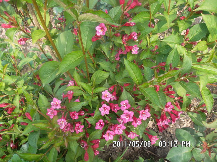 SAM_0404