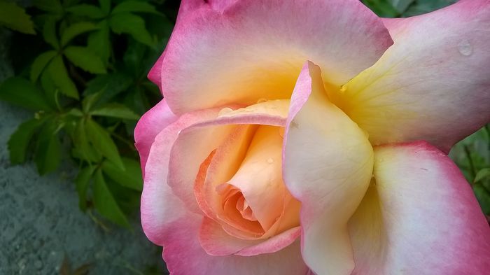 WP_20160613_16_29_18_Pro