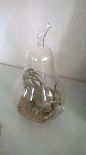 WP_20160611_10_04_12_Pro