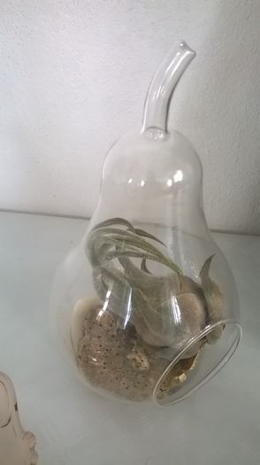 WP_20160611_10_04_17_Pro