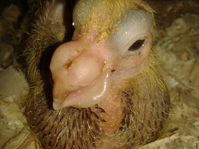 20160616_093913 - pui 2016