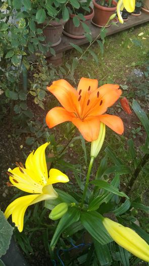 20160616_175421