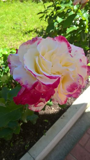 WP_20160616_16_18_04_Pro