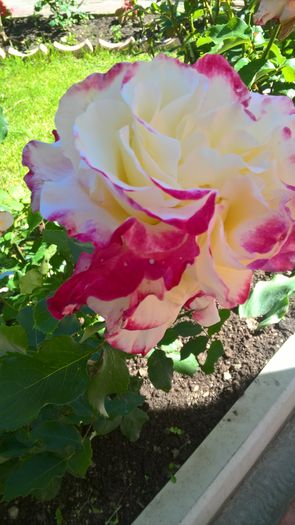 WP_20160616_16_17_44_Pro