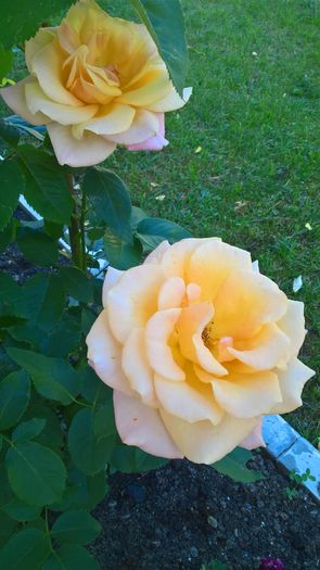 WP_20160616_16_17_30_Pro