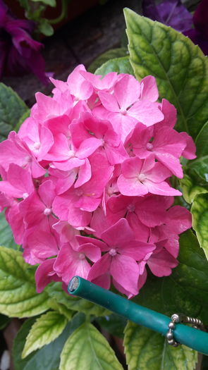 20160614_104238