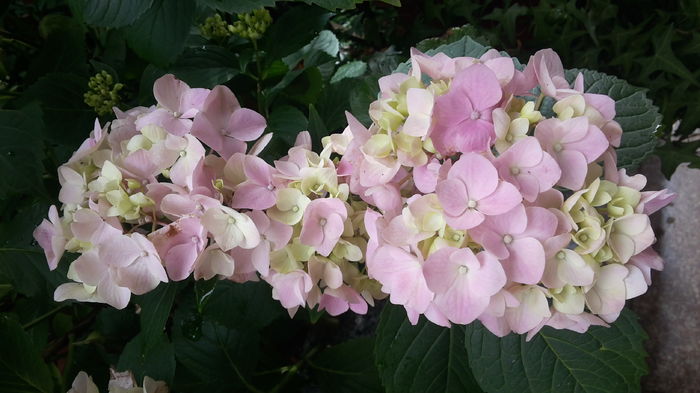 20160614_104018
