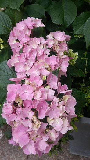 20160614_104007