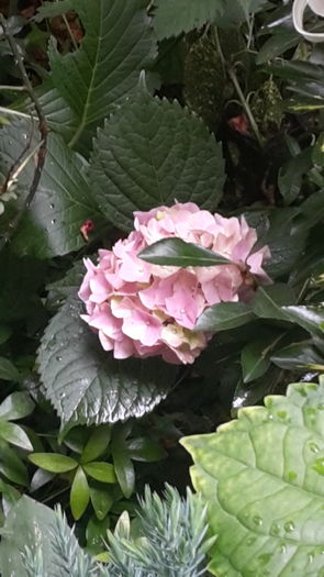 20160614_103934
