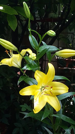 20160614_105647